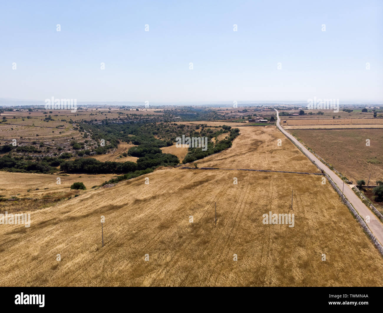 Vista aerea di alcuni campi di grano durante una bella giornata di sole nel mese di giugno in Sicilia (Italia) Foto Stock