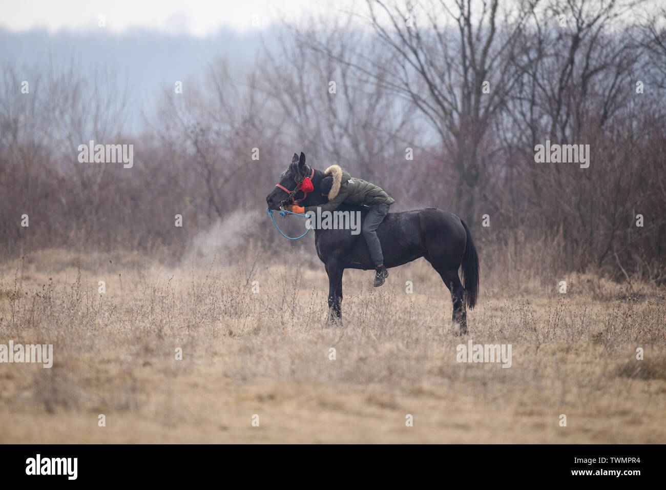 Pietrosani, Romania - 6 Gennaio 2019: l uomo è bareback riding un ornato cavallo prima un'Epifania festa corsa di cavalli. Foto Stock