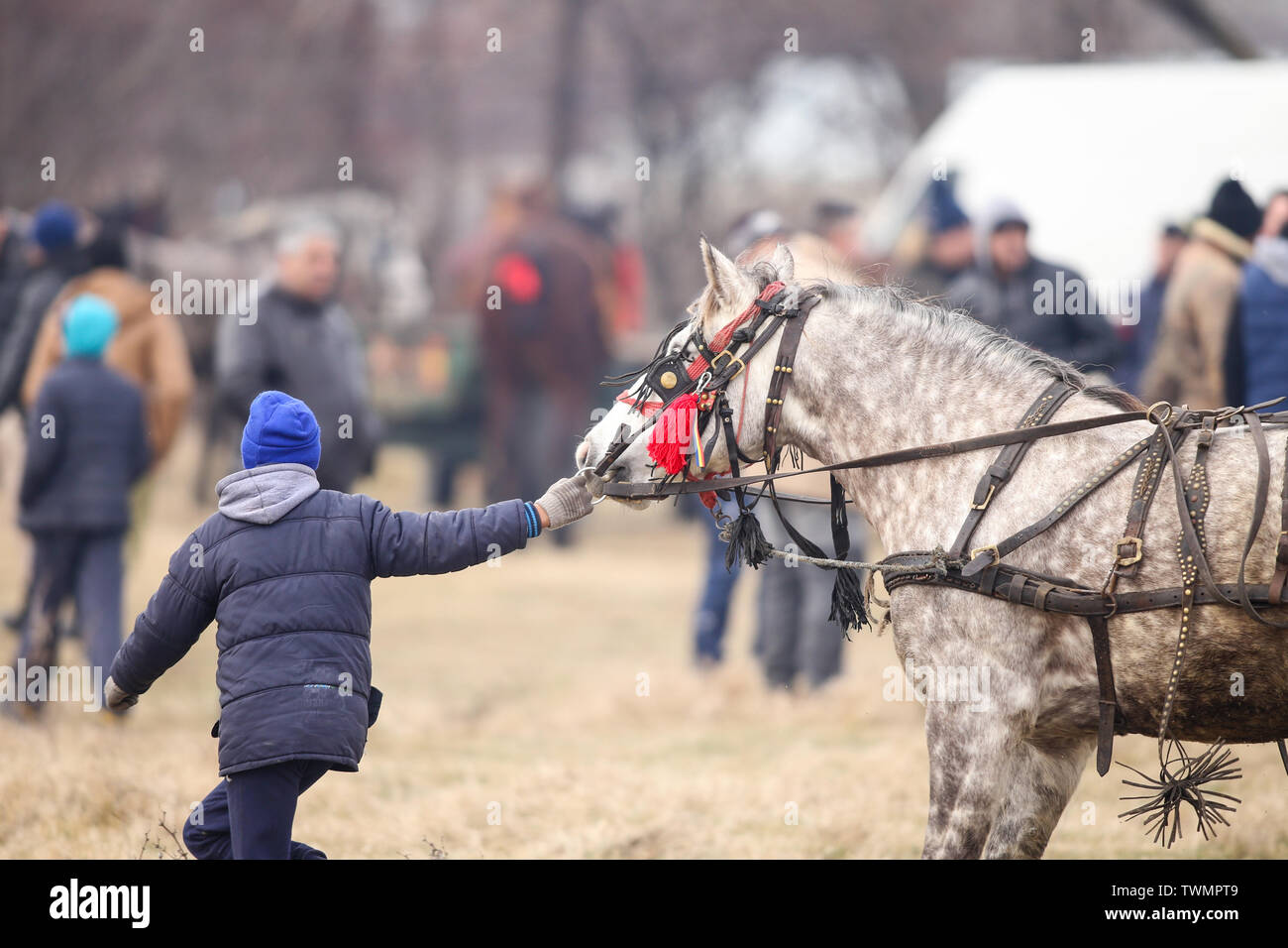 Pietrosani, Romania - 6 Gennaio 2019: Giovane ragazzo gestisce un ornato cavallo prima un'Epifania festa corsa di cavalli. Foto Stock