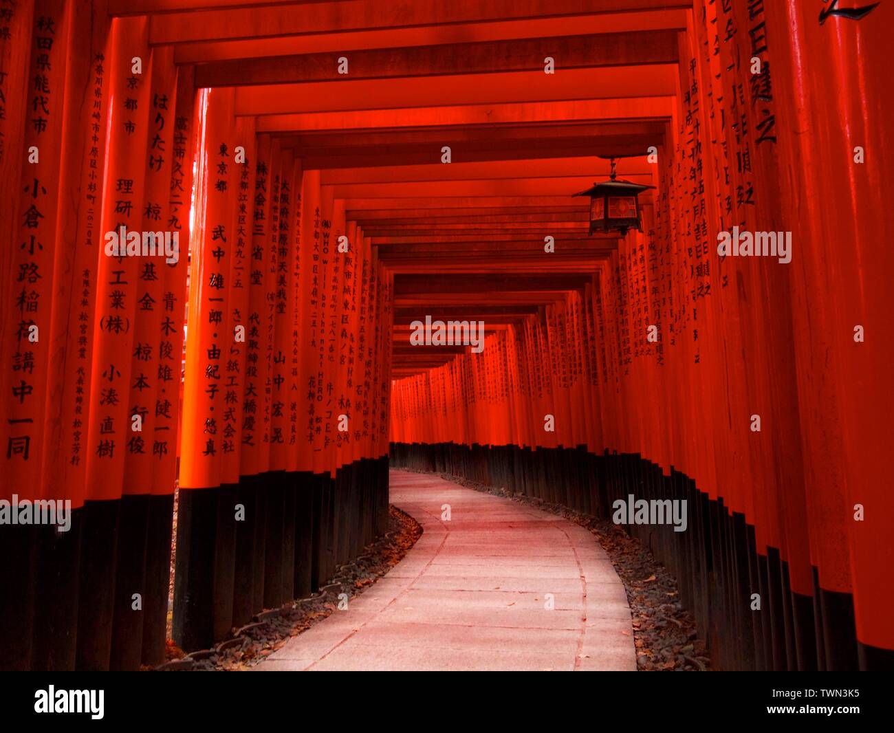 Red torii gates a Fushimi Inari Taisha, che si trova alla base del monte Inari. Foto Stock