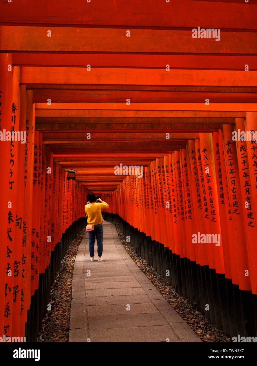 Torii rossi al Santuario di Fushimi Inari Taisha, situato alla base del Monte Inari, Kyoto, Giappone. Foto Stock
