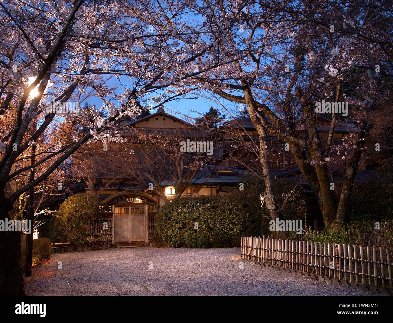 Bella entrata di una casa tradizionale giapponese foderato con fiore di ciliegio alberi o Sakura e Picket Fence e di un cancello in legno sportello durante il crepuscolo. Foto Stock