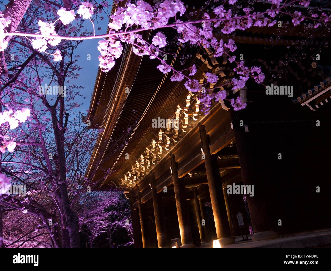 Sanmon Gate di Chion-in (Chionin) Tempio al tramonto con il fiore di ciliegio o sakura, Kyoto, Giappone Foto Stock