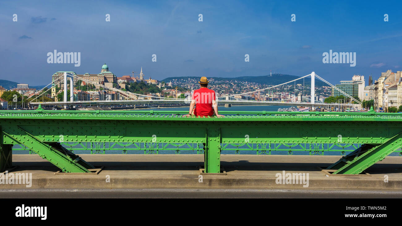 Guarda bellissimo panorama della città con la Collina del Castello monumenti famosi e al Danubio, dal Ponte della Libertà Foto Stock