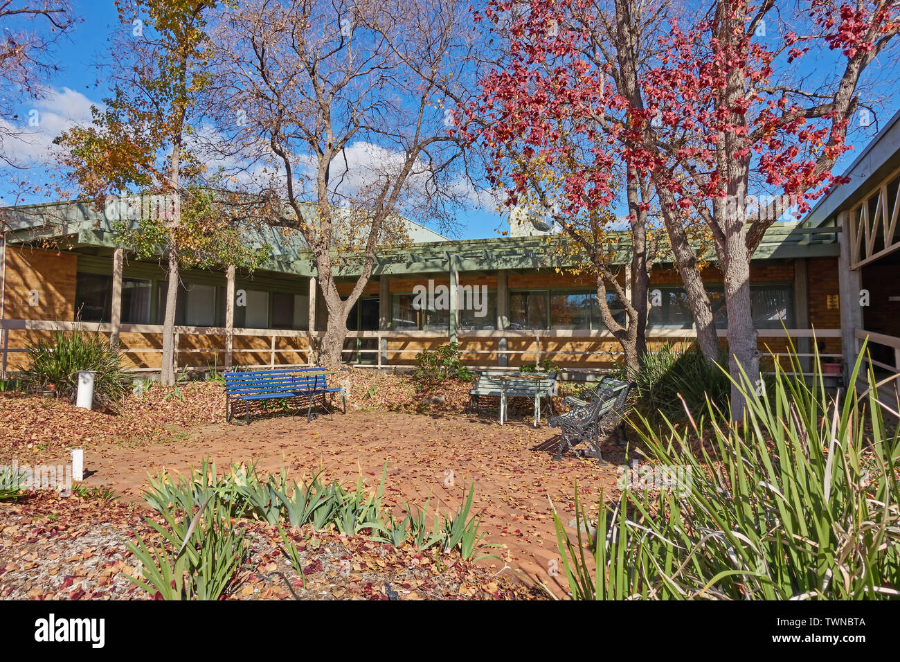 Una piccola area giardino in inverno attaccato al Reparto di Riabilitazione dell ospedale di Tamworth NSW Australia. Foto Stock