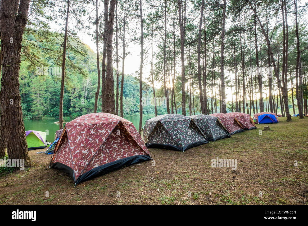 Tenda da campeggio in pineta sul serbatoio al tramonto,pang oung,Mae Hong Son,thailandia Foto Stock