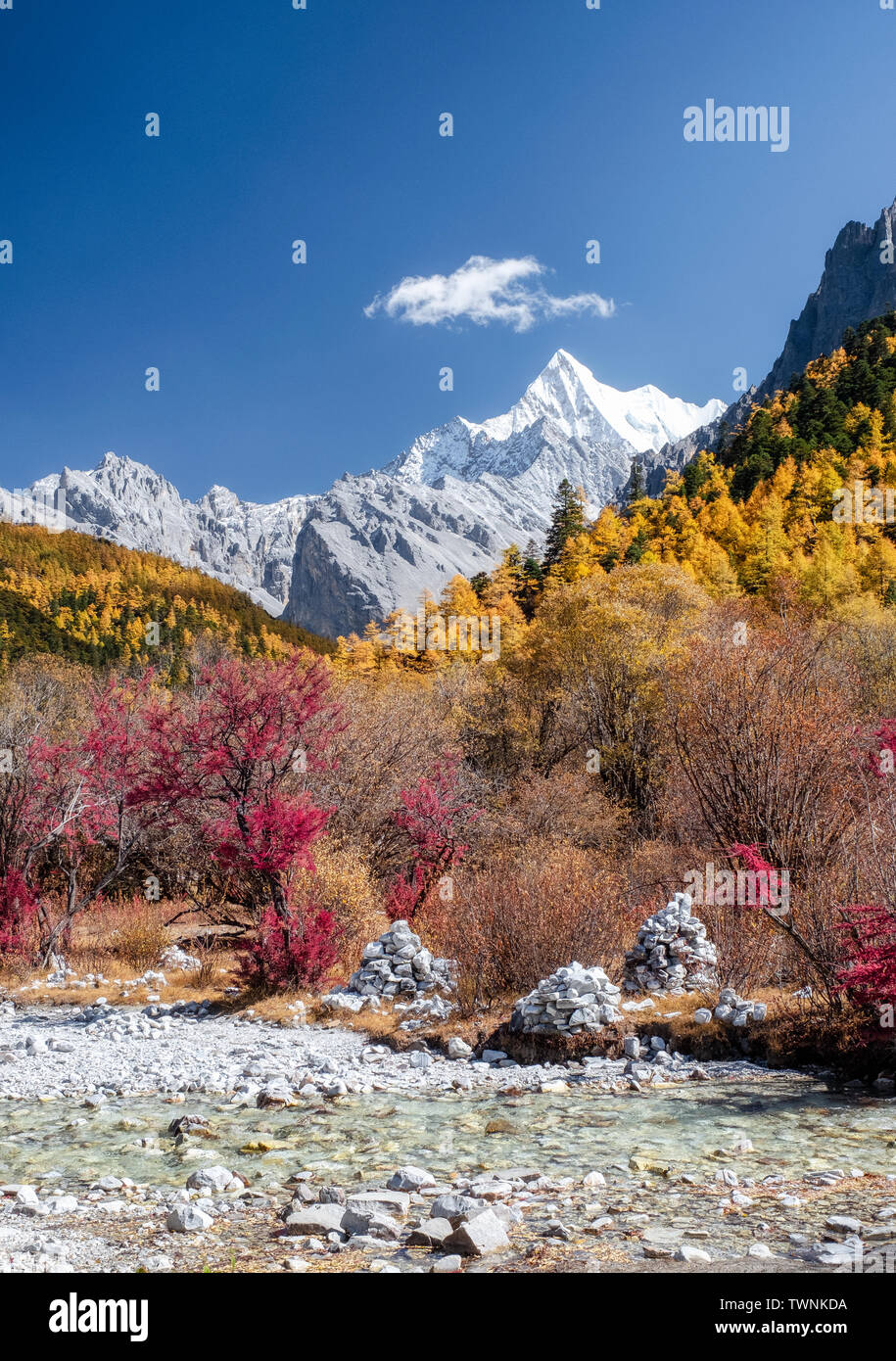 L'ultimo Shangri-La con Chana Dorje montagna in autunno pineta di Yading riserva naturale Foto Stock