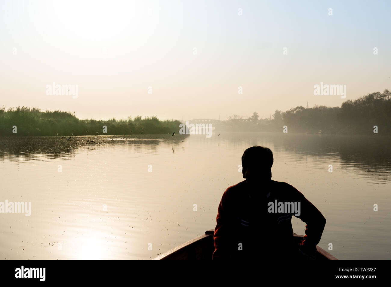 Silhouette di boatsman remare nella yamuna ganga river al mattino. La mattina presto giri in barca sul santo fiumi sacri dell India sono un comune Foto Stock