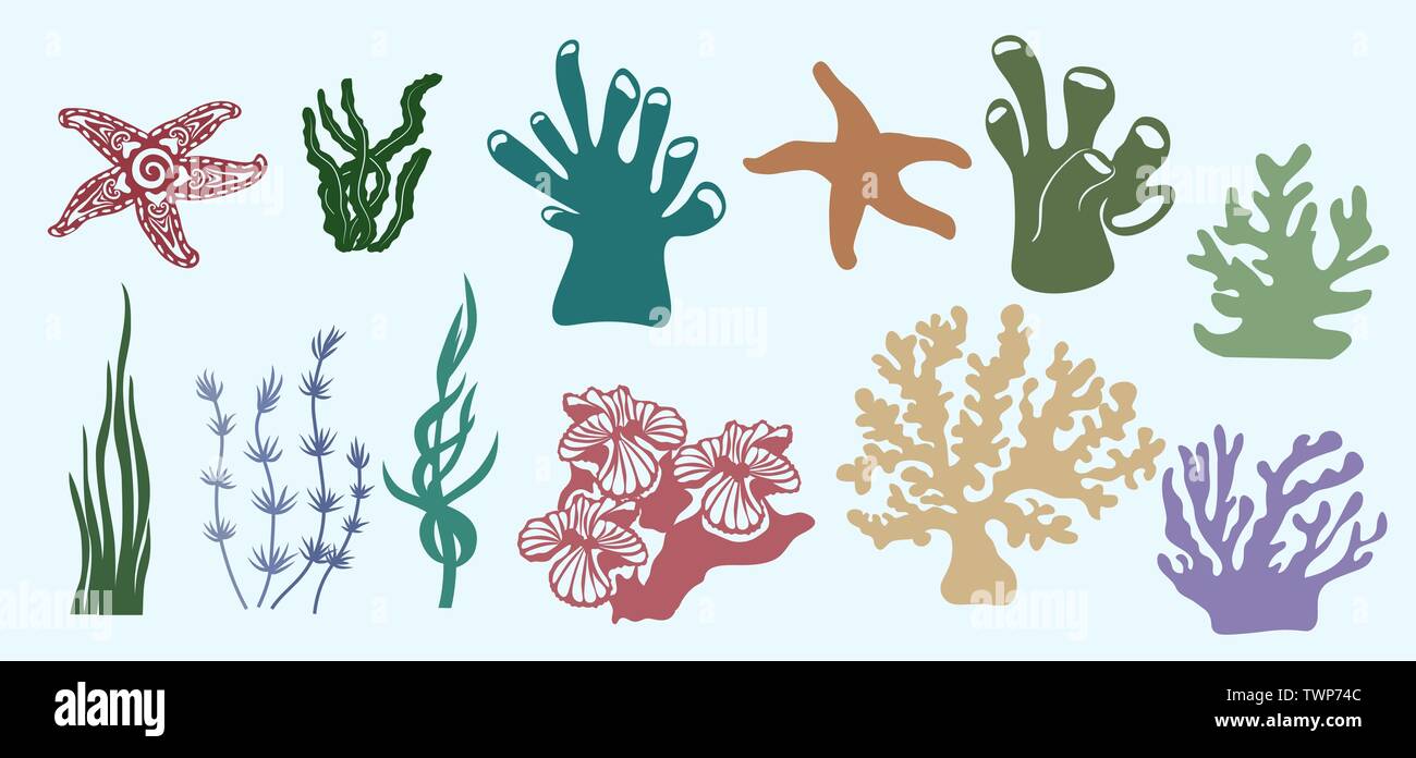 Le alghe, coralli, laminaria, (laminaria, Macrocystis, alga bruna, rockweed, Fucus, Posidonia). Illustrazione Vettoriale. Set di carta animali marini adesivi Illustrazione Vettoriale