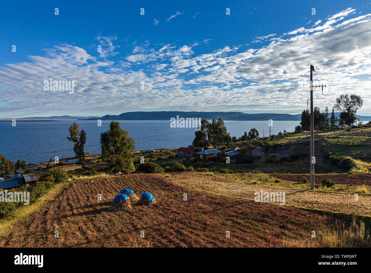 Haystacks e campo arato in Luquina Chico, il lago Titicaca, Perù, Sud America Foto Stock