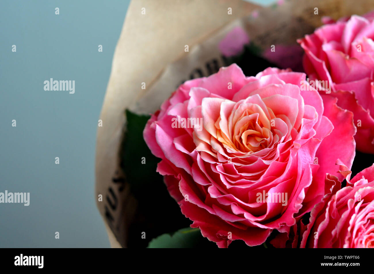 Bouquet di rose fresche, fiore sfondo luminoso. Primo piano. Le Rose in negozio di fiori. Foto Stock