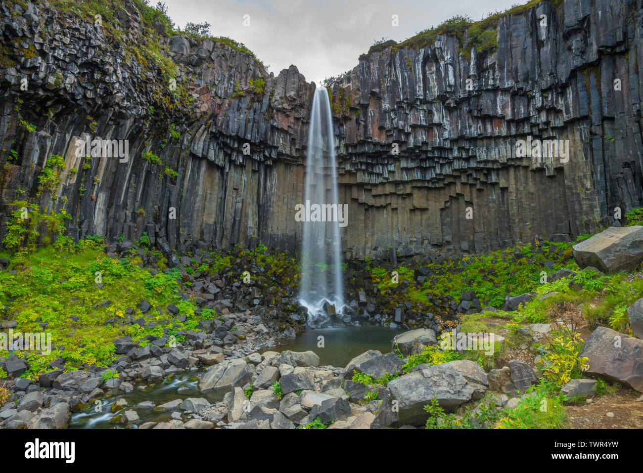 Una lunga esposizione cattura di iconico attrazione turistica Svartifoss cascata in Islanda Skaftafell National Park, circondato da roccia basaltica formazioni. Foto Stock