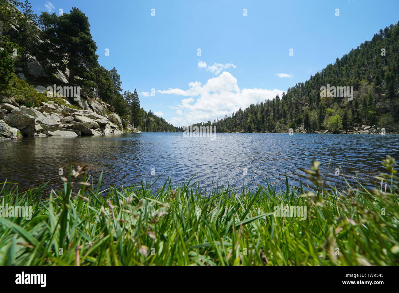Lago di montagna con erba in primo piano, Francia, Pyrenees-Orientales, Estany Llarg, parco naturale dei Pirenei catalani, Occitanie Foto Stock