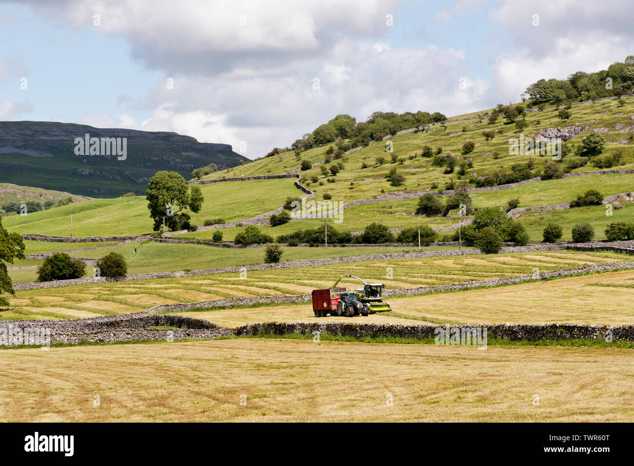 Gli agricoltori di approfittare di un giorno di estate secca meteo per tagliare il fieno dei prati e raccogliere l'erba per insilati, Austwick, North Yorkshire. Foto Stock
