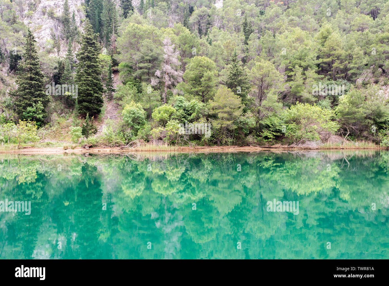 Cascate di Krka, Parco Nazionale di Krka, Croazia, Europa Foto Stock