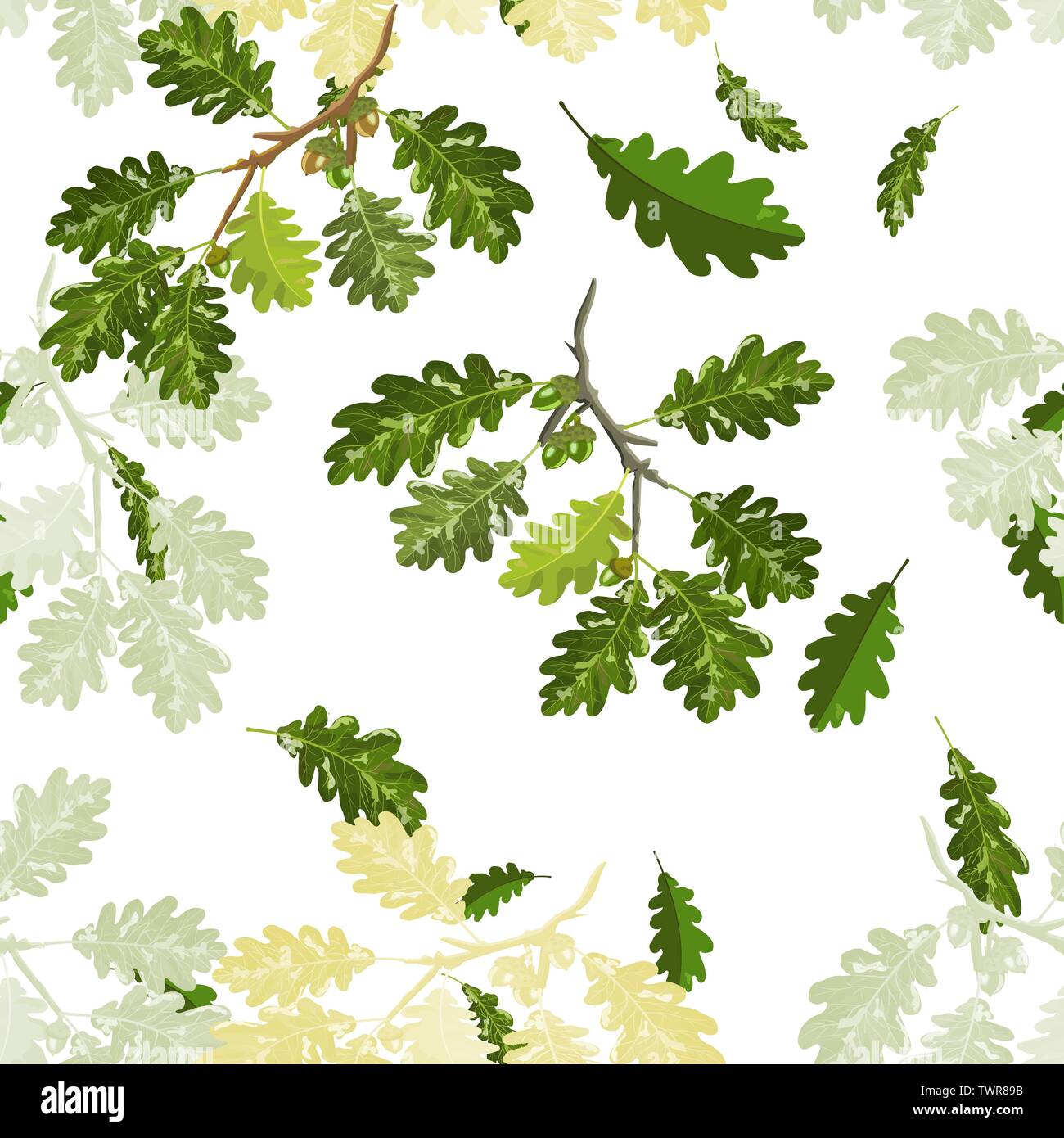 Ramo di quercia con foglie e acorn seamless pattern come sfondo Illustrazione Vettoriale