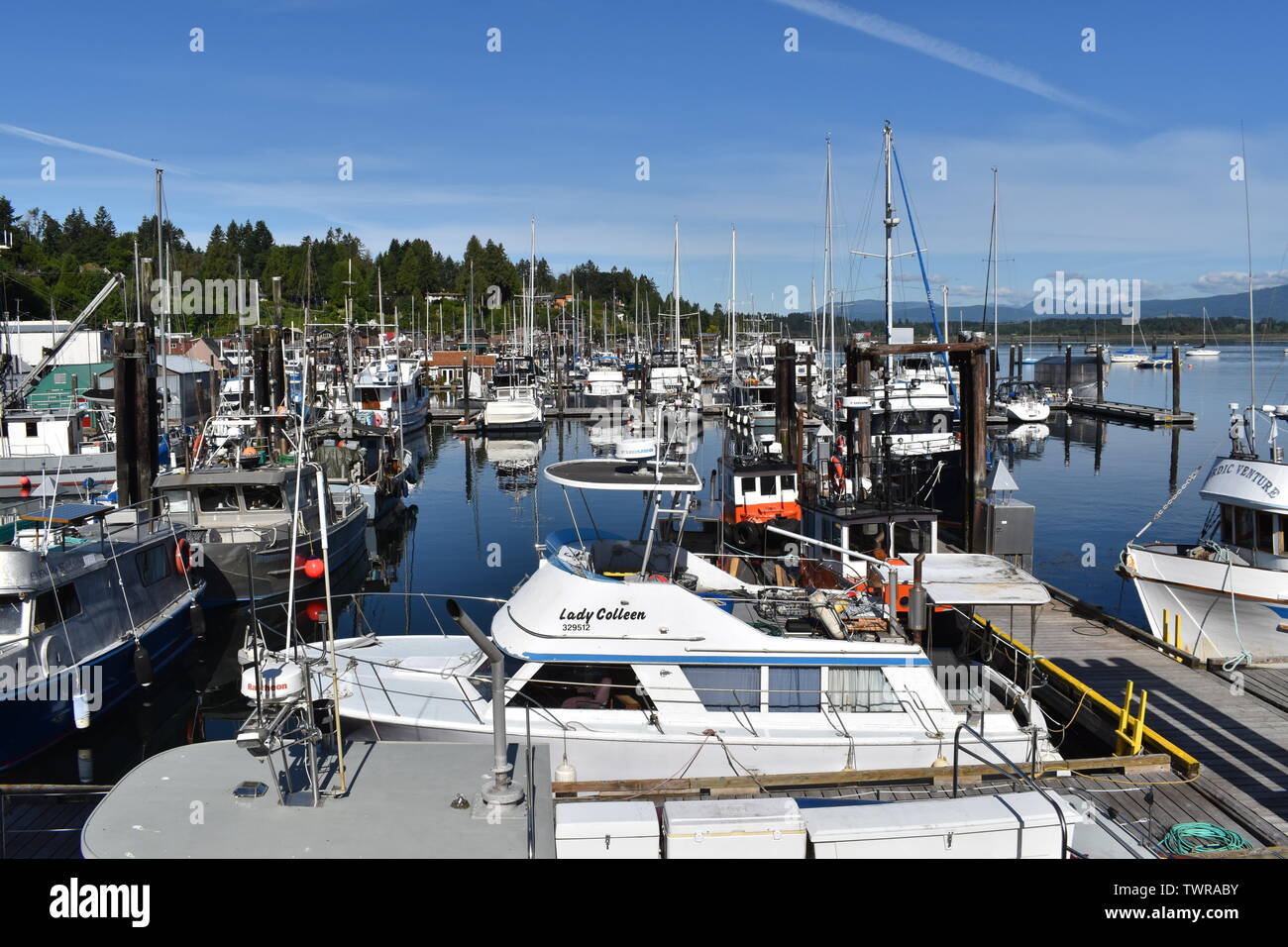 Barche ormeggiate nelle calme acque della baia di Cowichan, BC, Canada Foto Stock