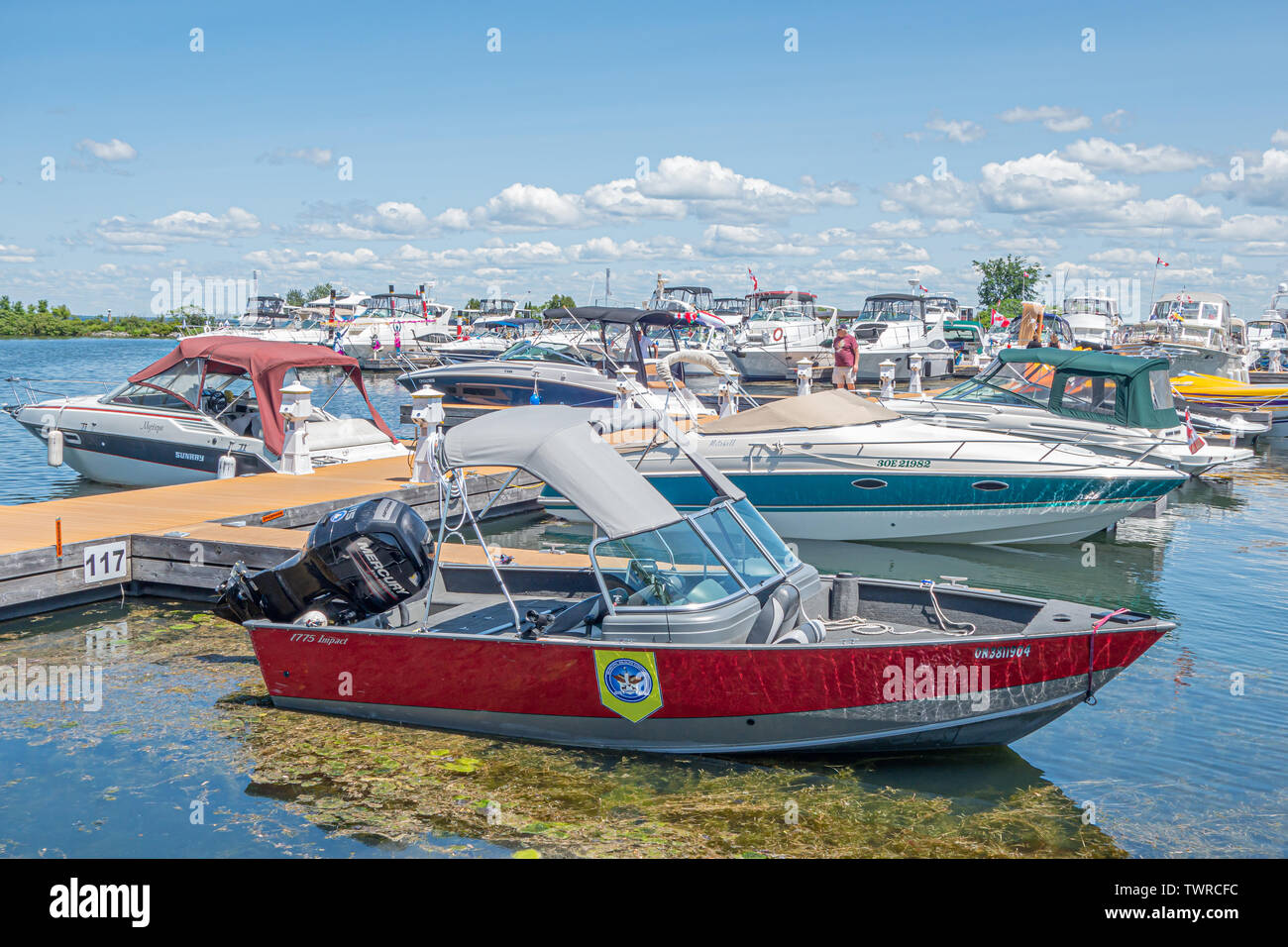 Municipal Wildlife Control Service barca è ormeggiata al Porto di Orillia Ontario. Foto Stock