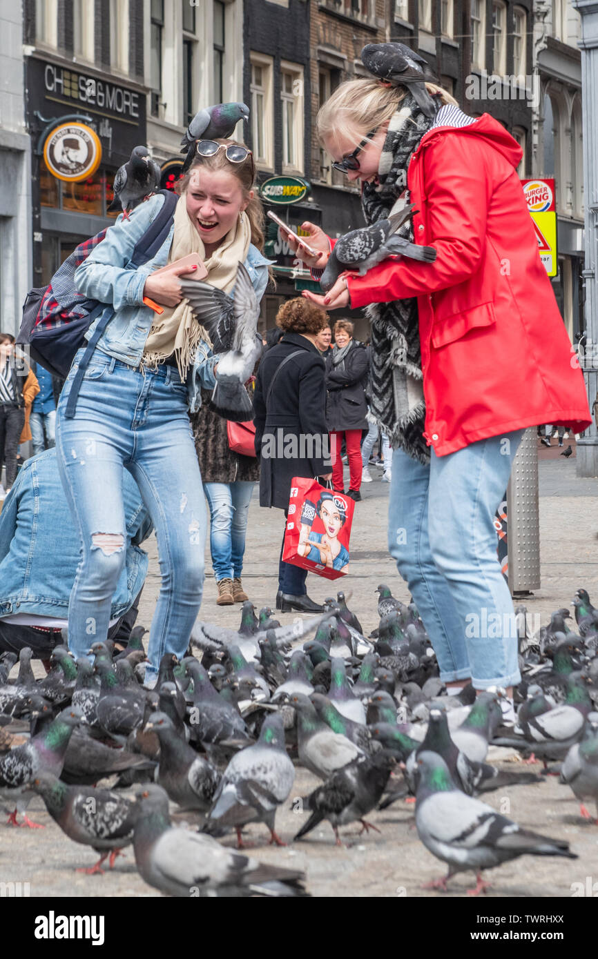 Alimentazione di piccioni sulla terra millenaria turisti in Piazza Dam Amsterdam Paesi Bassi - piccioni su persone - piccioni battenti vicino a persone Foto Stock