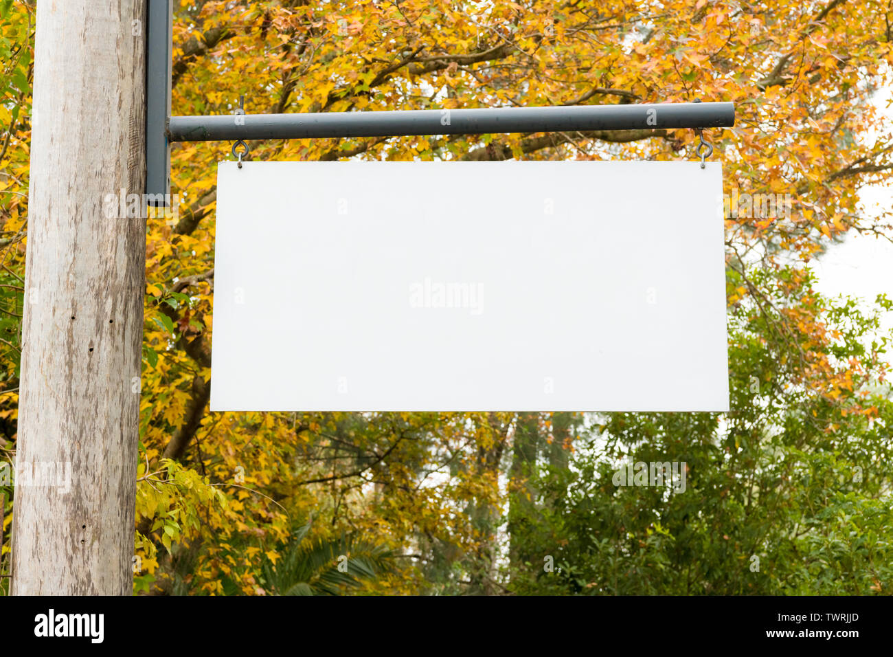 Pubblicità bianco vuoto blank board appesi ad un palo di legno sulla sinistra, con la natura foresta in background. Copia dello spazio disponibile per il testo Foto Stock