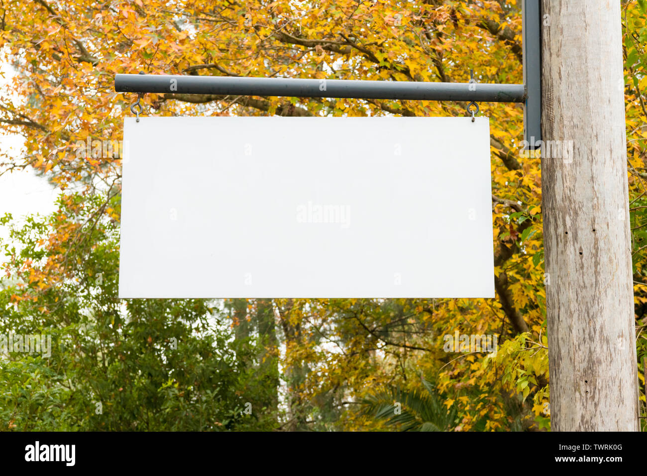 Pubblicità bianco vuoto blank board appesi ad un palo di legno sulla sinistra, con la natura foresta in background. Copia dello spazio disponibile per il testo Foto Stock