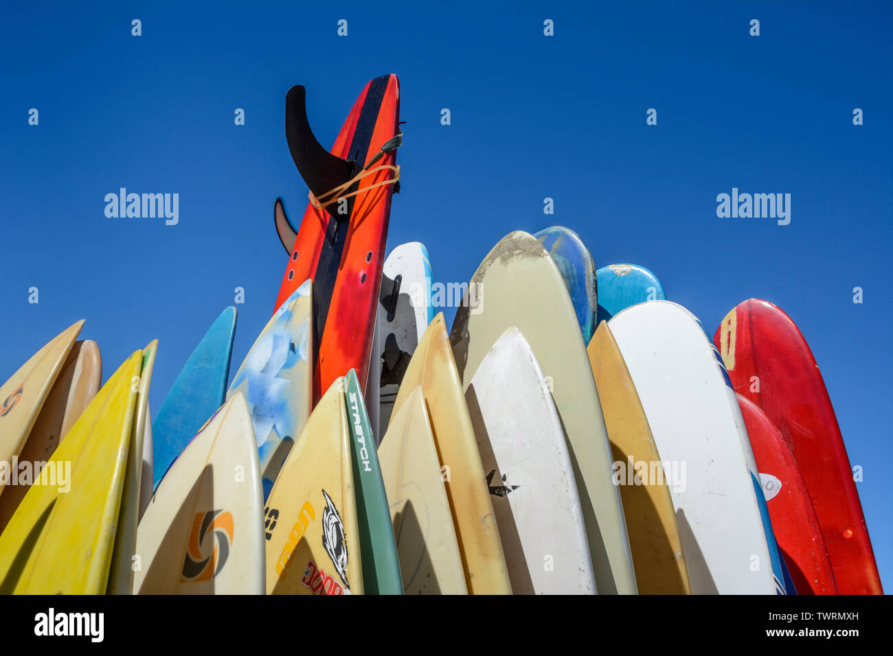 Tavole da surf a Playa Los Cerritos, Baja California Sur, Messico. Foto Stock