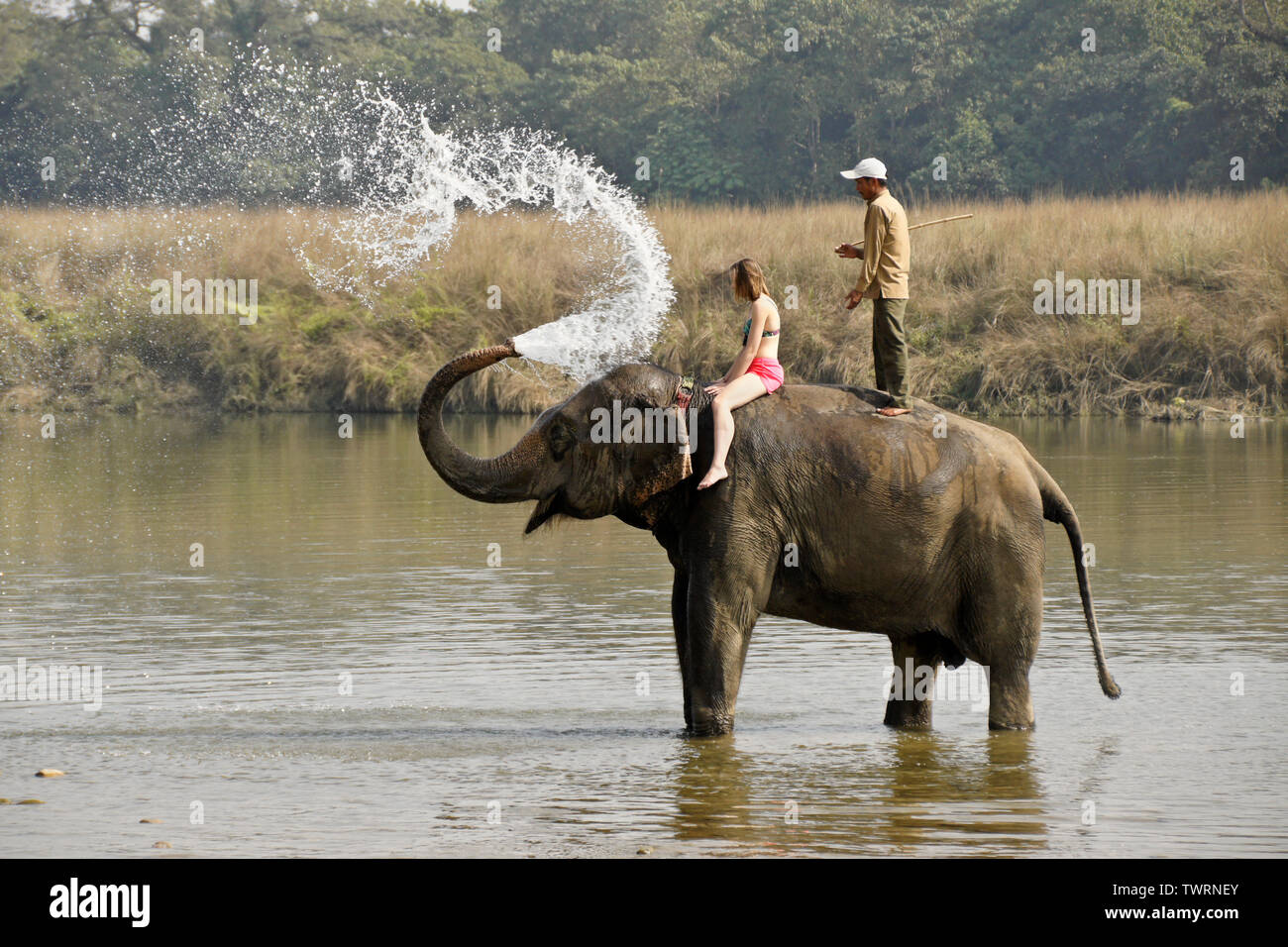 Turista femminile e mahout su elefante asiatico la spruzzatura di acqua nel fiume Rapti, Chitwan il parco nazionale, il Nepal Foto Stock