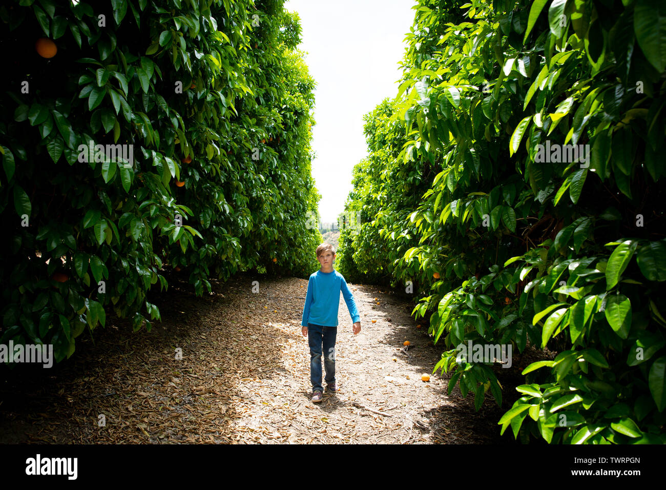Ragazzo in posa per la fotocamera Foto Stock