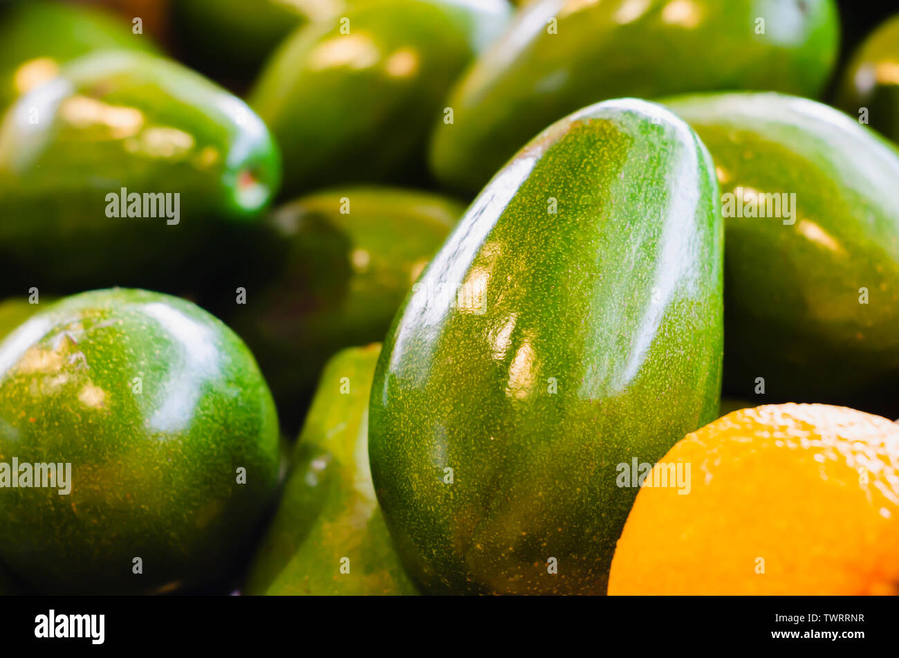 Gli avocadi per la vendita al dettaglio in un supermercato in gondola con belle lampeggia di luce naturale Foto Stock