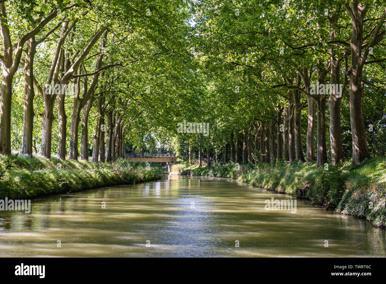 Estate guarda sul Canal du Midi canal a Tolosa, Franco meridionale Foto Stock