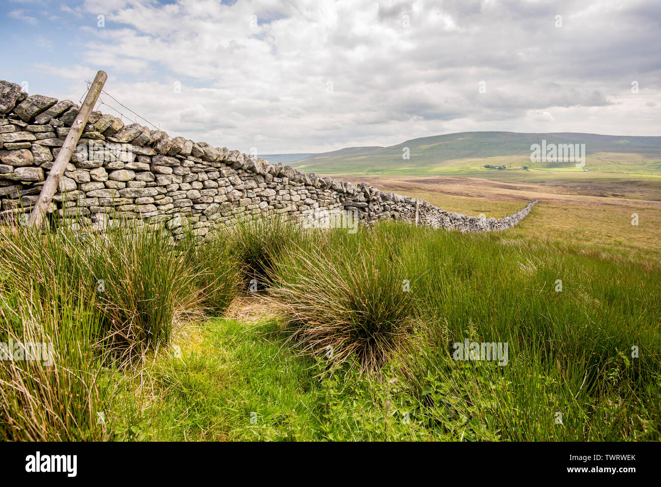 Pen-y-Ghent Foto Stock