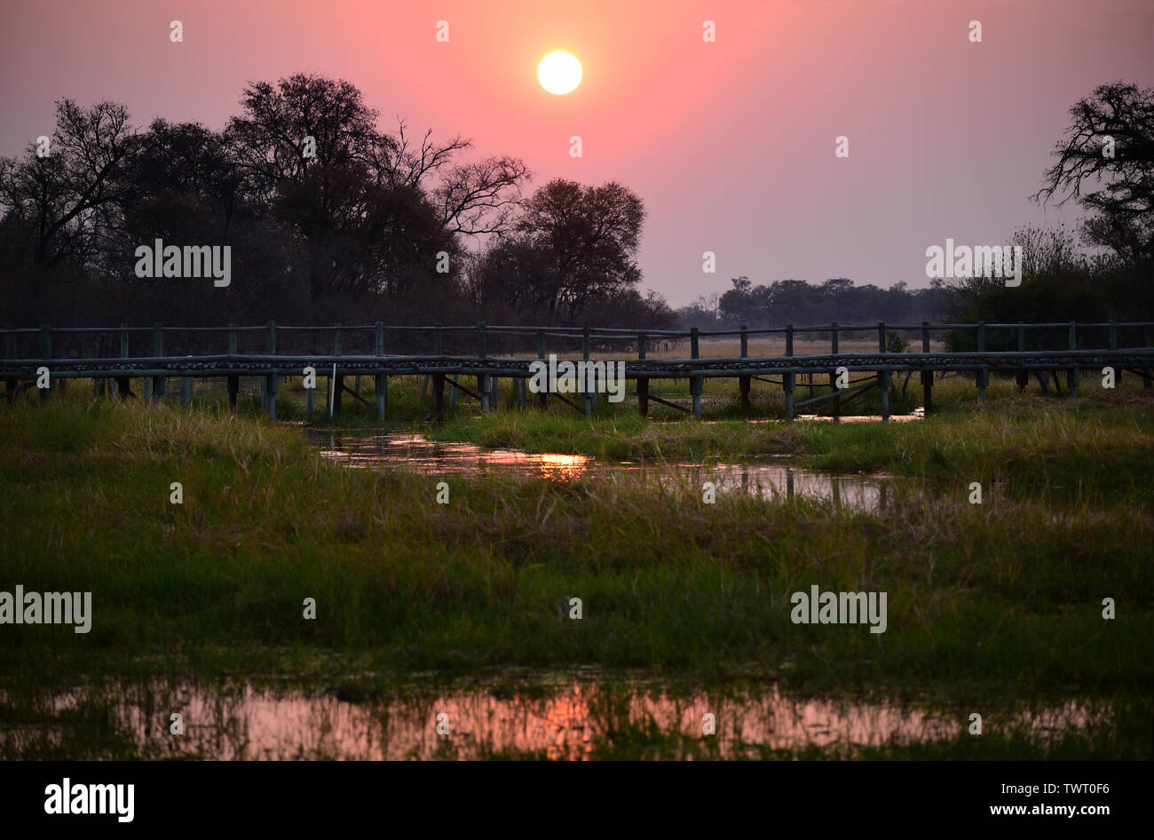 Sunset over Khwai Porta Nord campeggio. Moremi Game Reserve, Okavango Delta, Botswana Foto Stock