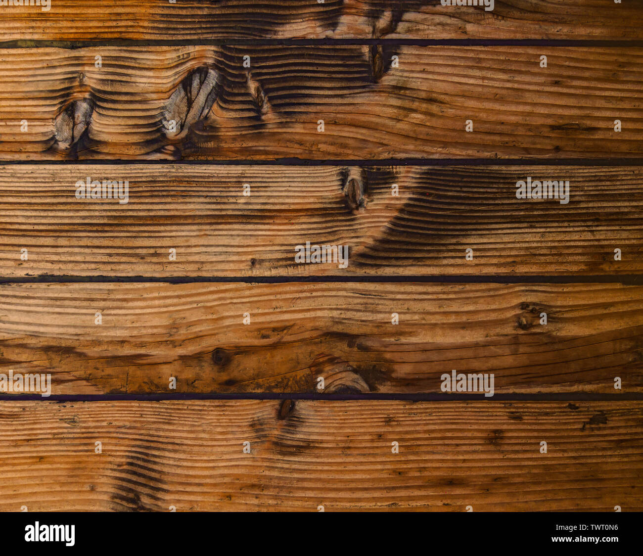 La consistenza del vecchio pino plance. Foto Stock