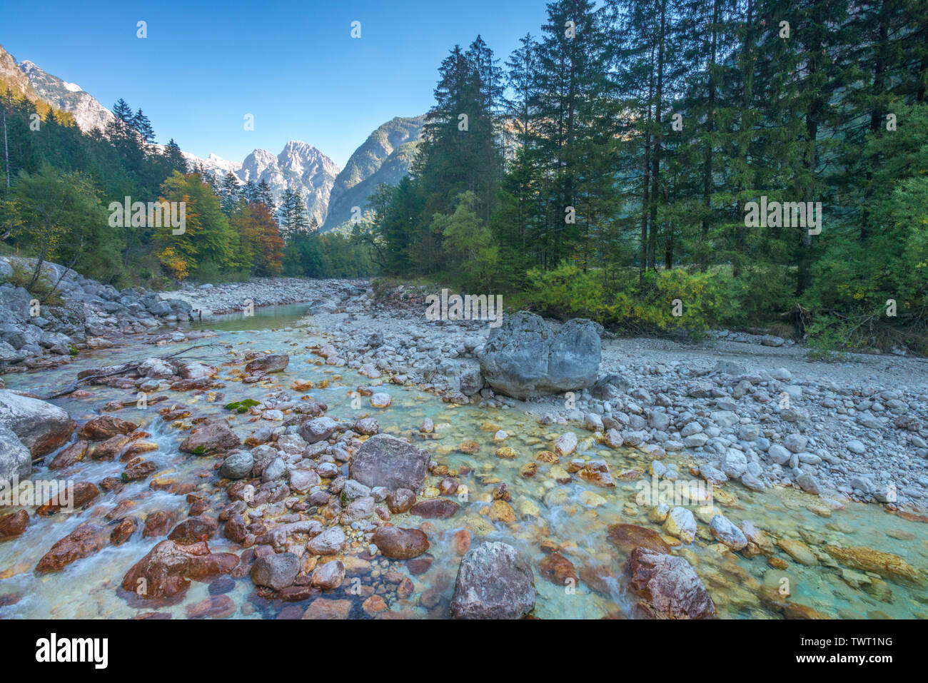 Bassa Soca fiume che scorre nelle Alpi slovene e foreste. Il fogliame di autunno nei boschi, belle montagne sullo sfondo. Foto Stock