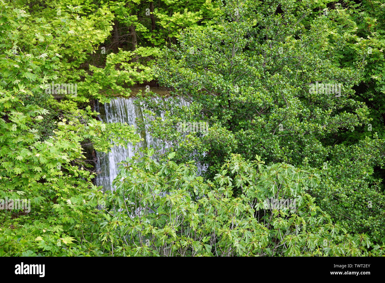 Una piccola cascata nella foresta in Albania Foto Stock