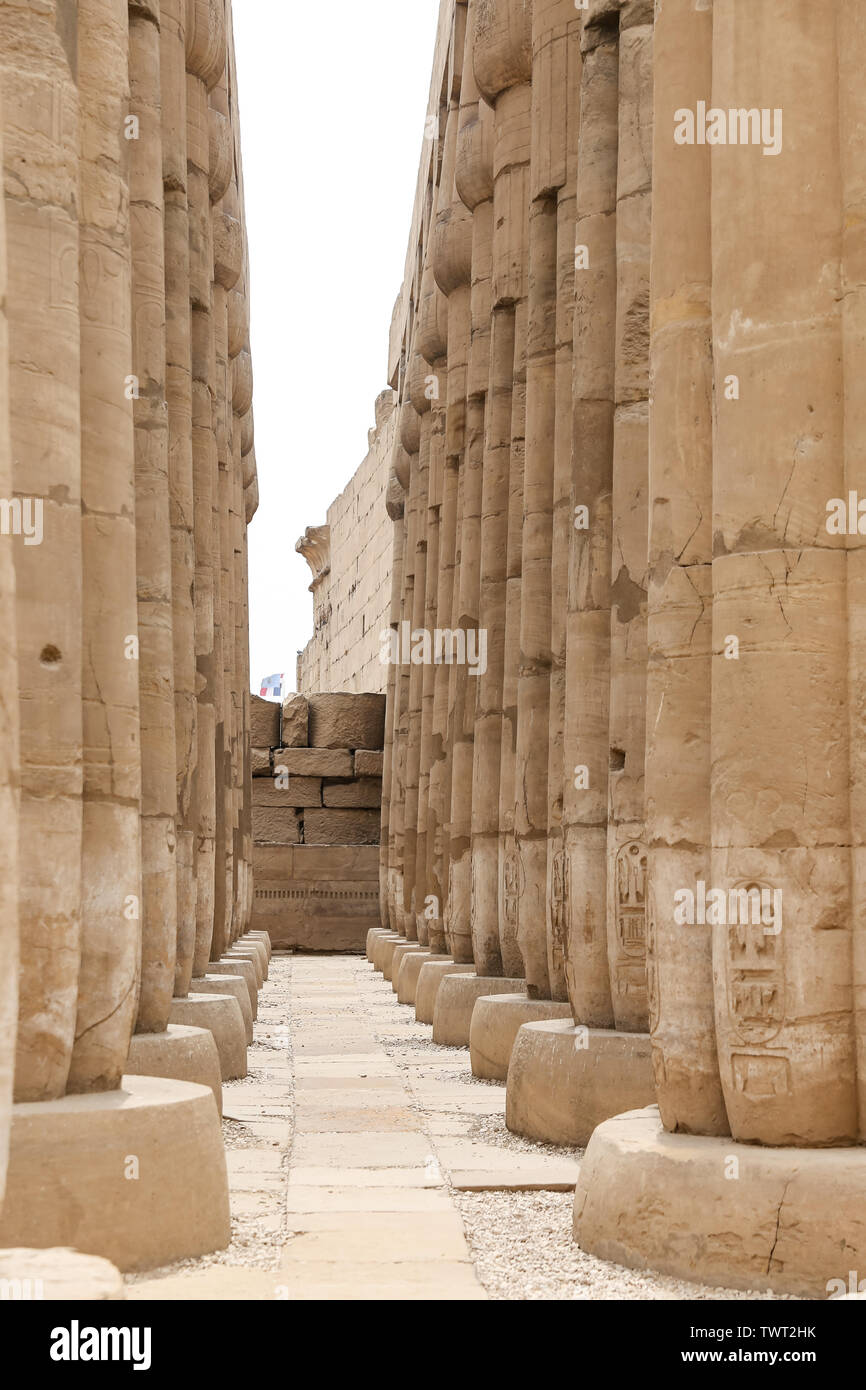 Le colonne nel Tempio di Luxor, città di Luxor, Egitto Foto Stock