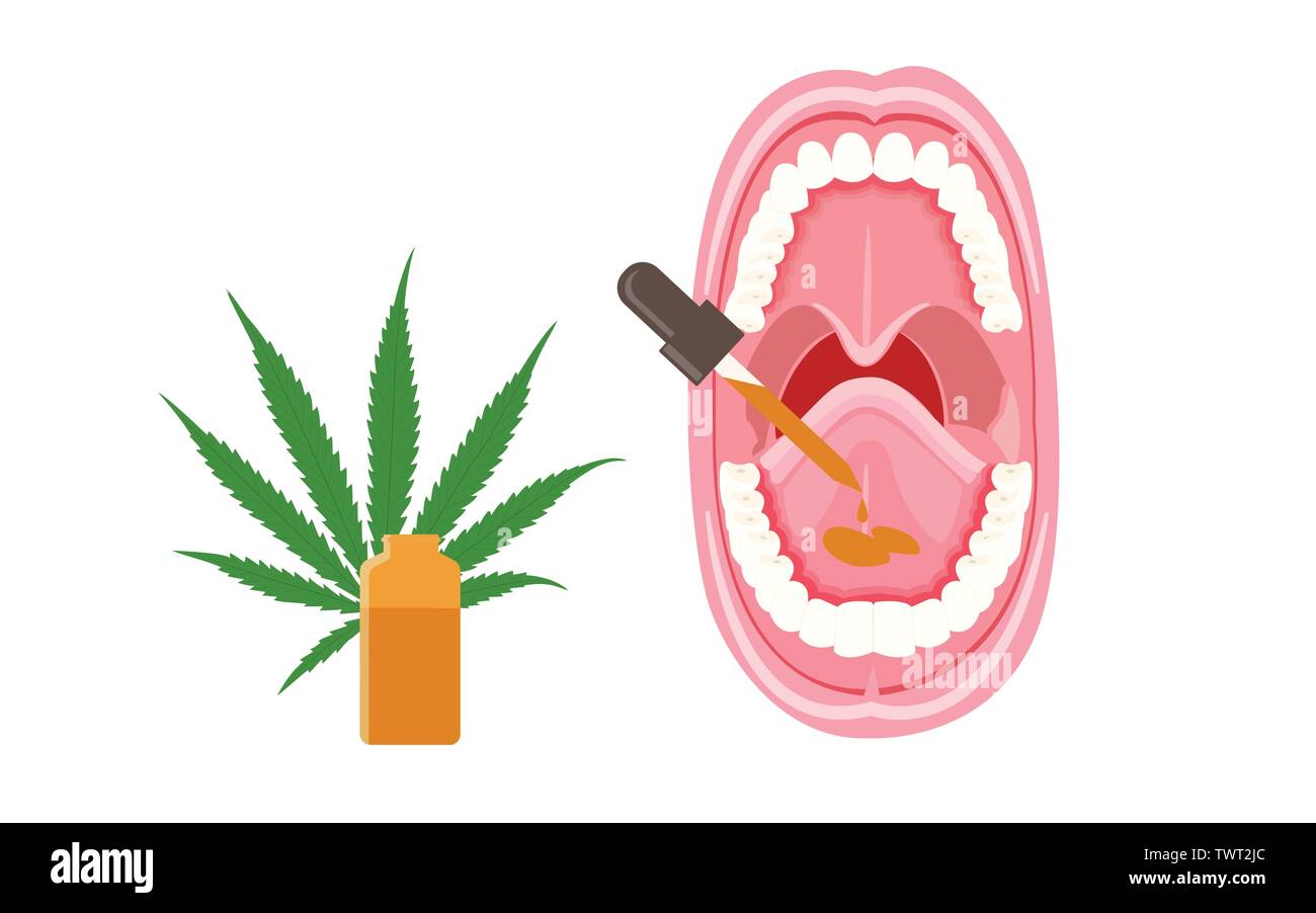 Sublingual CBD gocce di olio ed infografico orizzontale illustrazione circa la cannabis come alternativa a base di erbe della medicina, sanità e la scienza medica vettore. Illustrazione Vettoriale