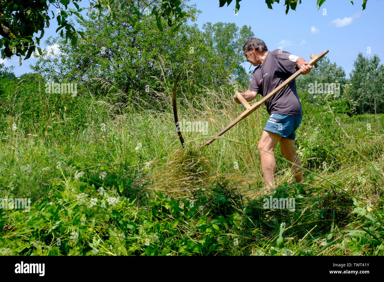 Falce l'erba immagini e fotografie stock ad alta risoluzione - Alamy