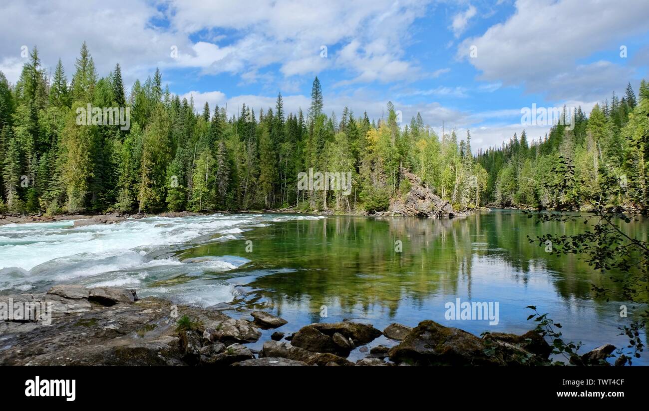 Un fiume attraverso la foresta Foto Stock