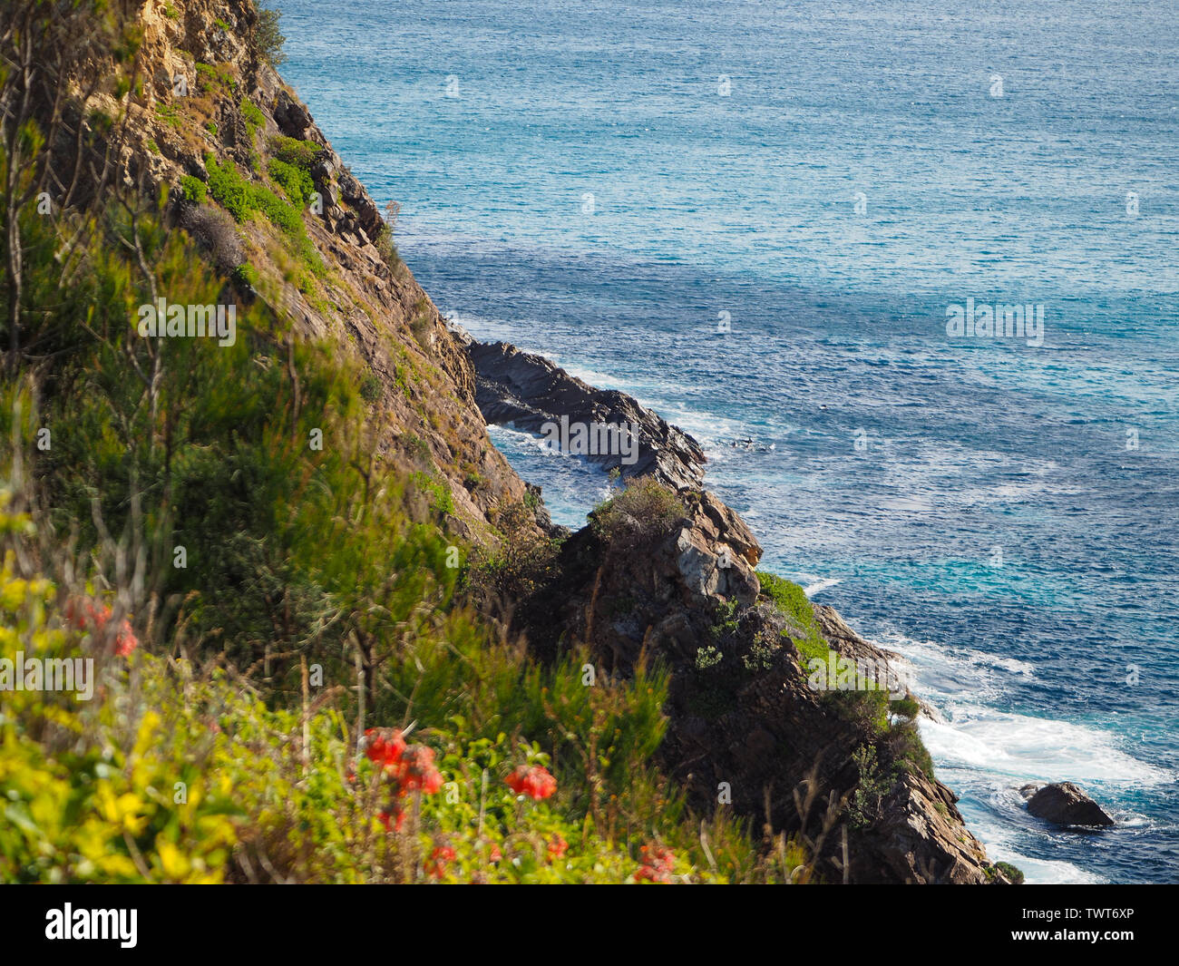 Vista sul promontorio dello splendido Oceano Pacifico blu, acqua in pooled e vegetazione verde sulla scogliera rocciosa, Forster NSW Australia Foto Stock