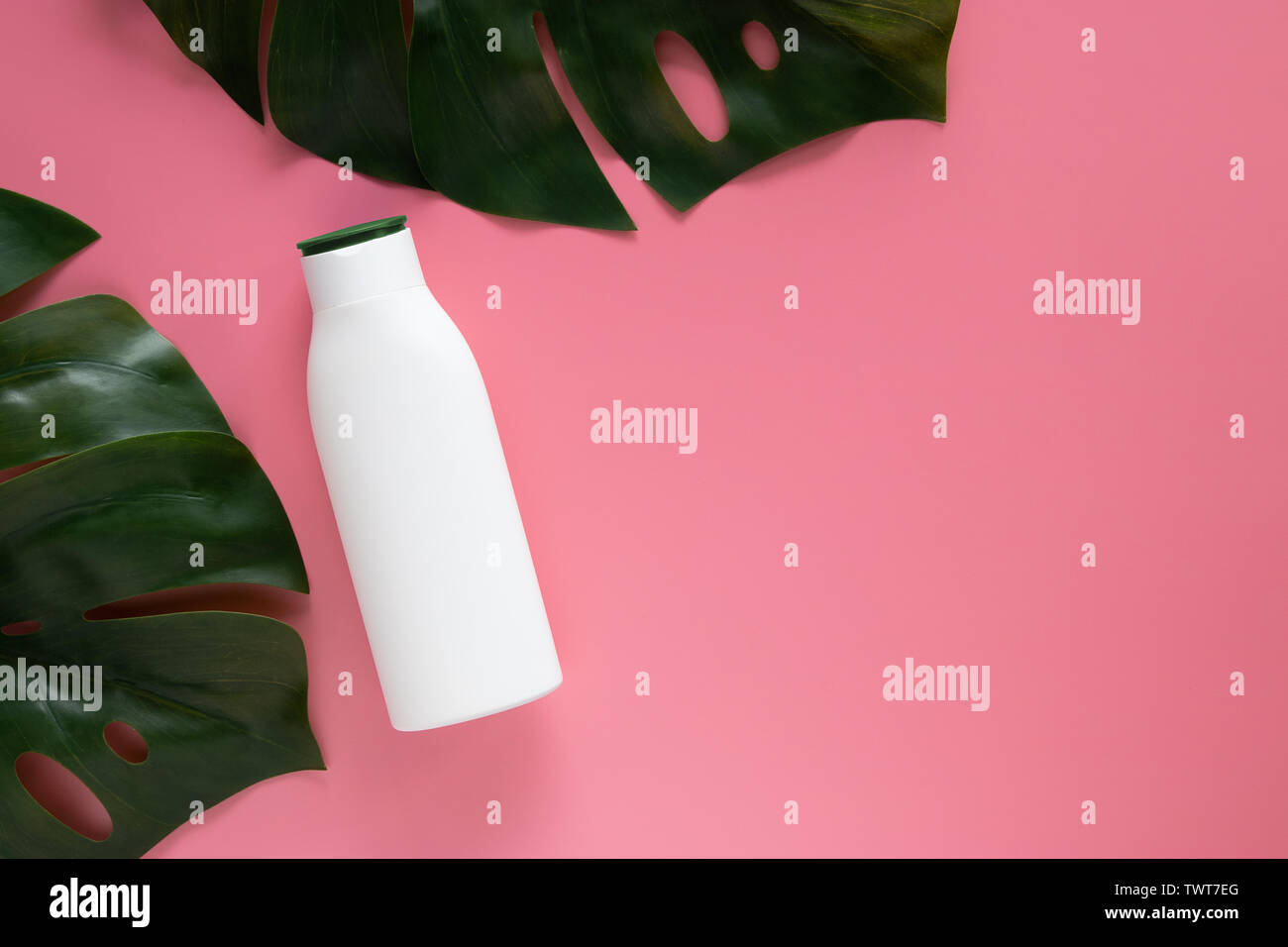 Natura cosmetica skincare concetto. bianco bottiglia cosmetico contenitore con etichetta vuota per il branding mock up, decorare con verde foglie tropicali su Pink b Foto Stock