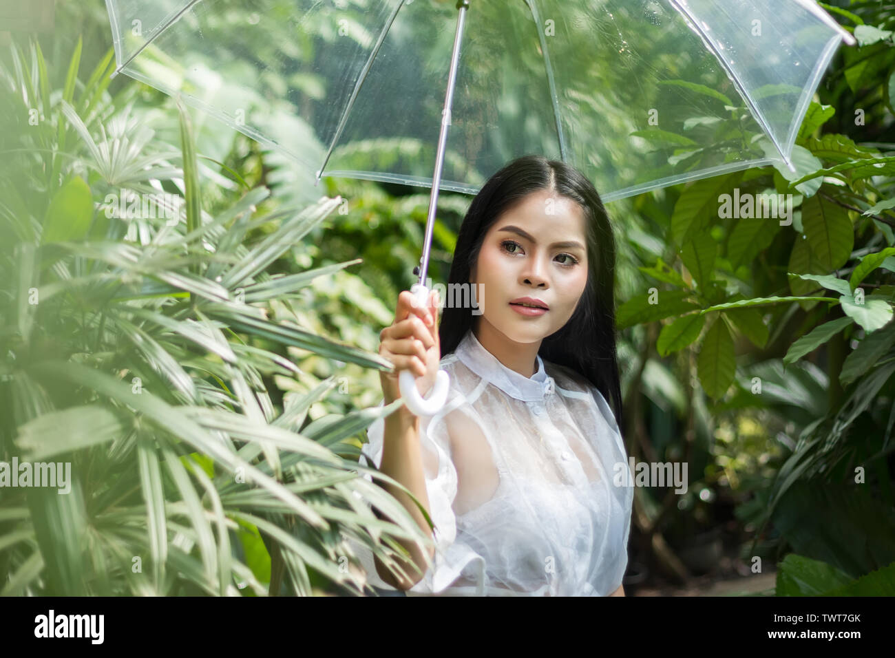 Donna asiatica di contenimento in materiale plastico trasparente ombrello in giorno di pioggia durante il soggiorno all'aperto presso la foresta tropicale con foglia verde Foto Stock