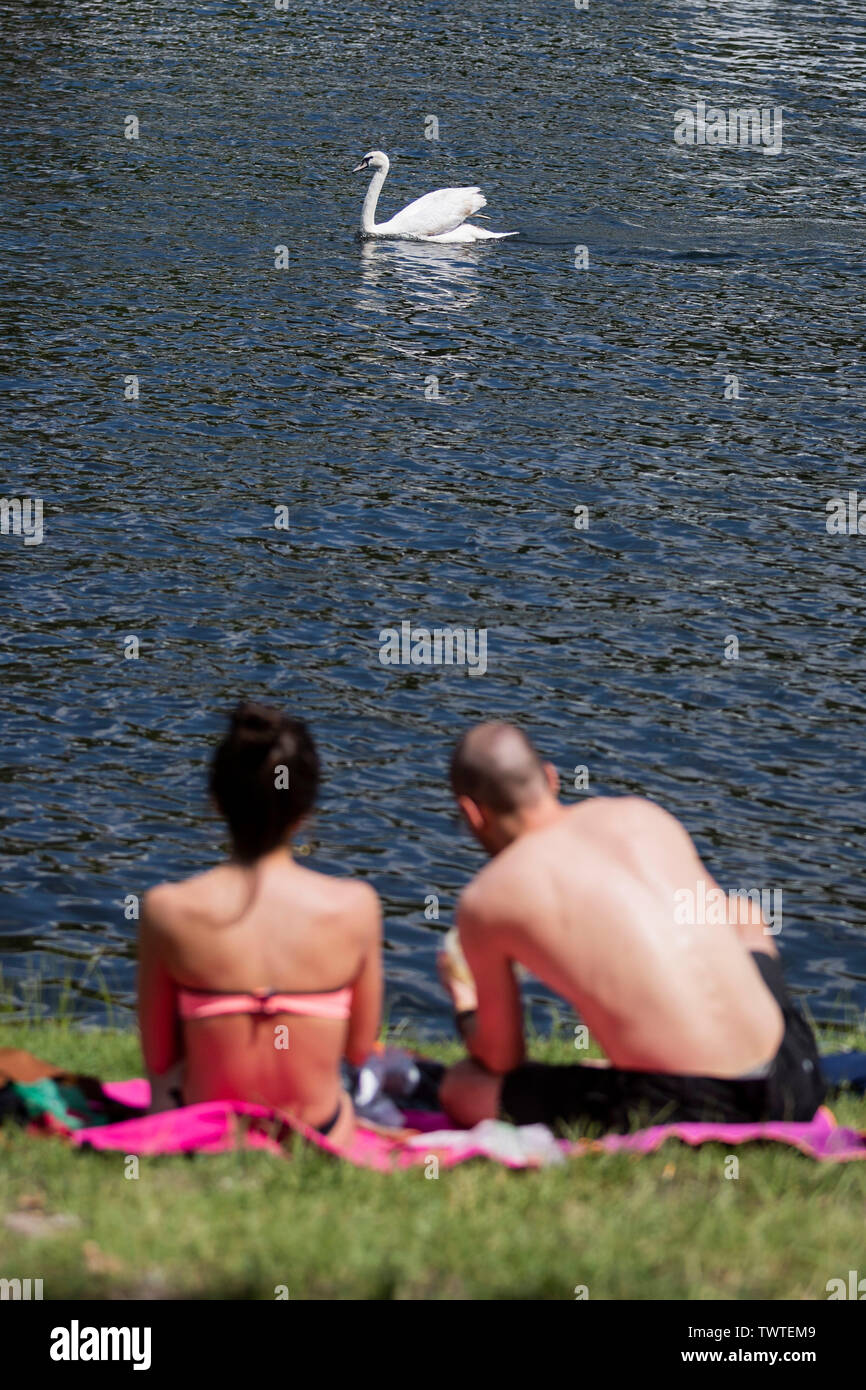 Berlino, Germania. Il 23 giugno, 2019. Un paio di baci siede a Kreuzberg sulla banca del Landwehrkanal, mentre un cigno nuota da nell'acqua. Credito: Christoph Soeder/dpa/Alamy Live News Foto Stock