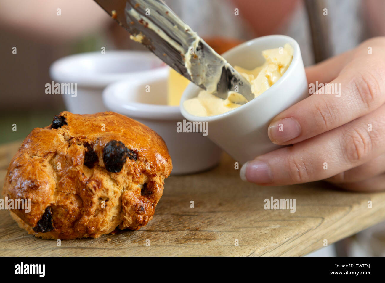 Una donna mette clotted cream su scone durante un tè pomeridiano. Il cornetto è snocciolate con uve secche di Corinto. Foto Stock