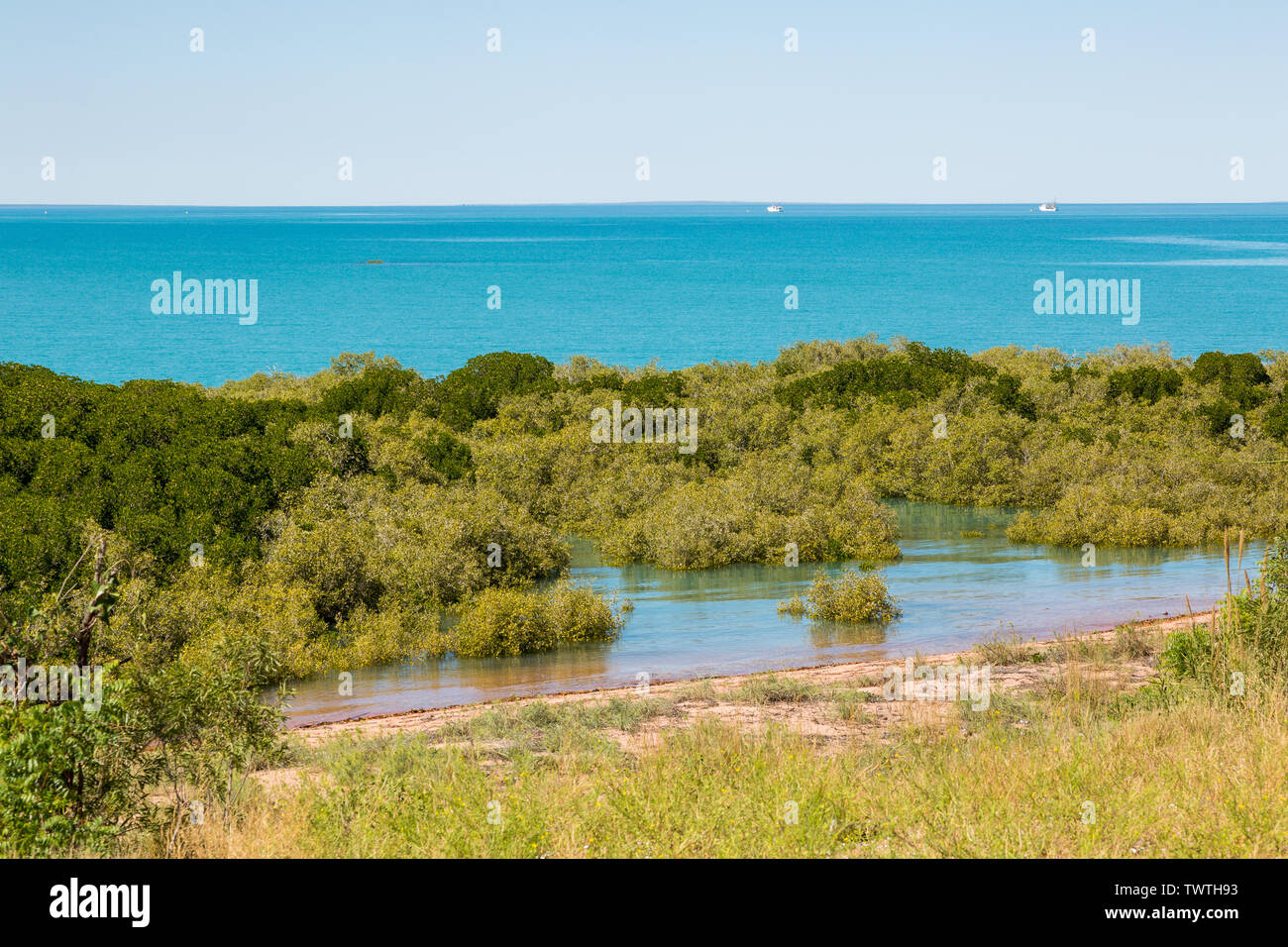 L'acqua di marea mangrovie quasi all alta marea Broome Foto Stock