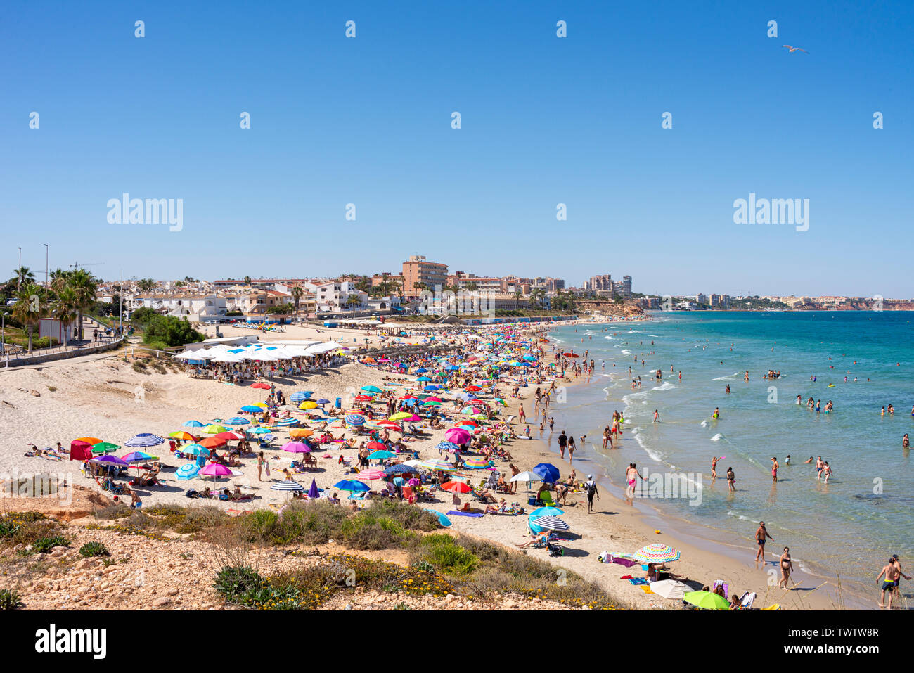 Occupato Mediterranean Beach a Playa Mil Palmeras, Pilar de la Horadada, Alicante, Spagna, Europa. Sun colorate sfumature di blu del cielo e del mare. Costa Blanca Foto Stock
