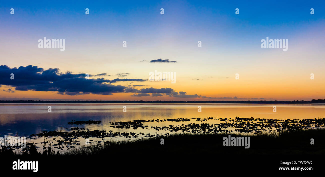 Prima del sorgere del sole sopra il lago di Pierce nel Lago del Galles Polk County Florida negli Stati Uniti Foto Stock