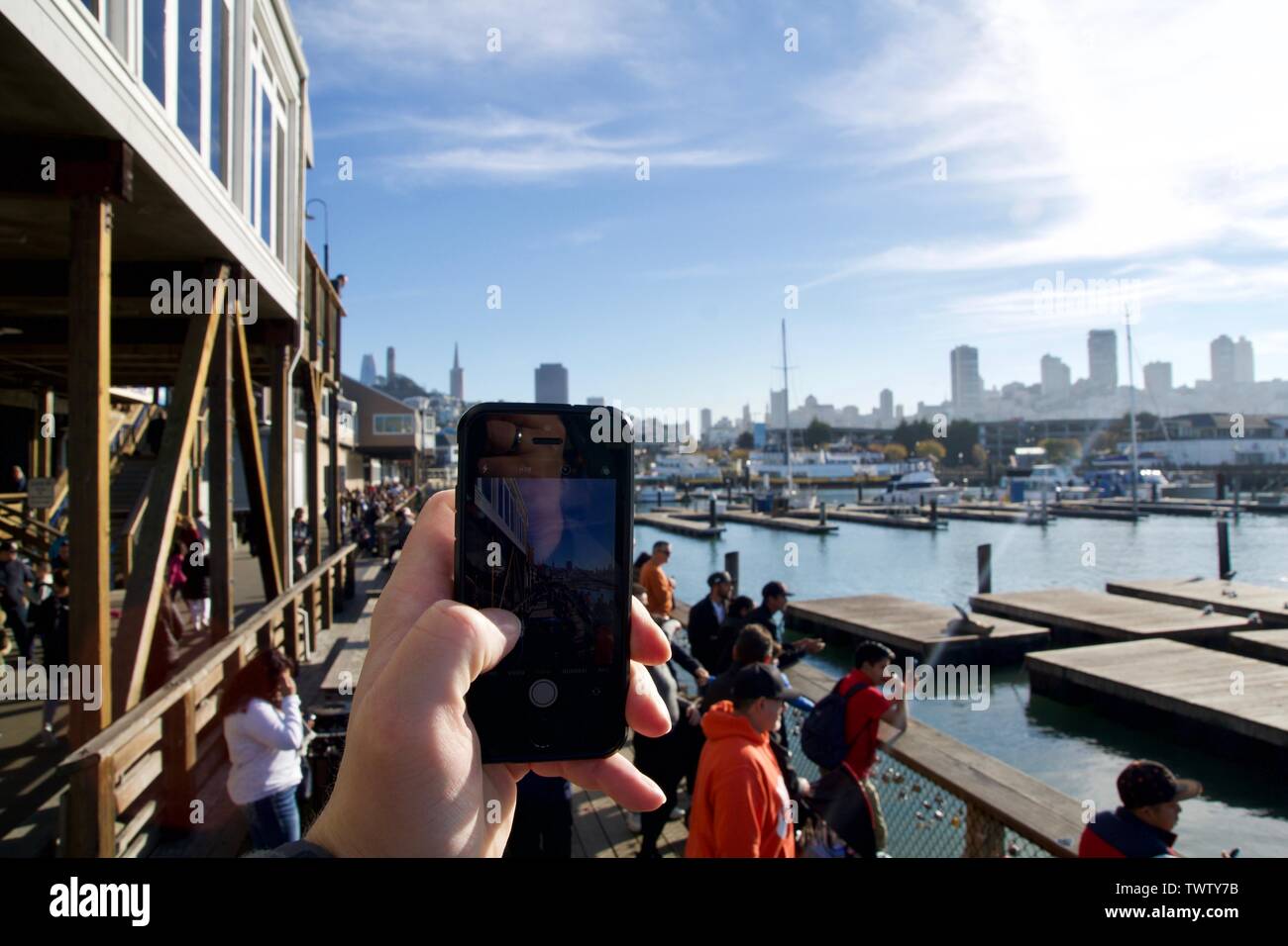 SAN FRANCISCO, CALIFORNIA, STATI UNITI - Novembre 25th, 2018: di scattare una foto con il cellulare al molo 39 guardando i leoni di mare e turistiche. Foto Stock