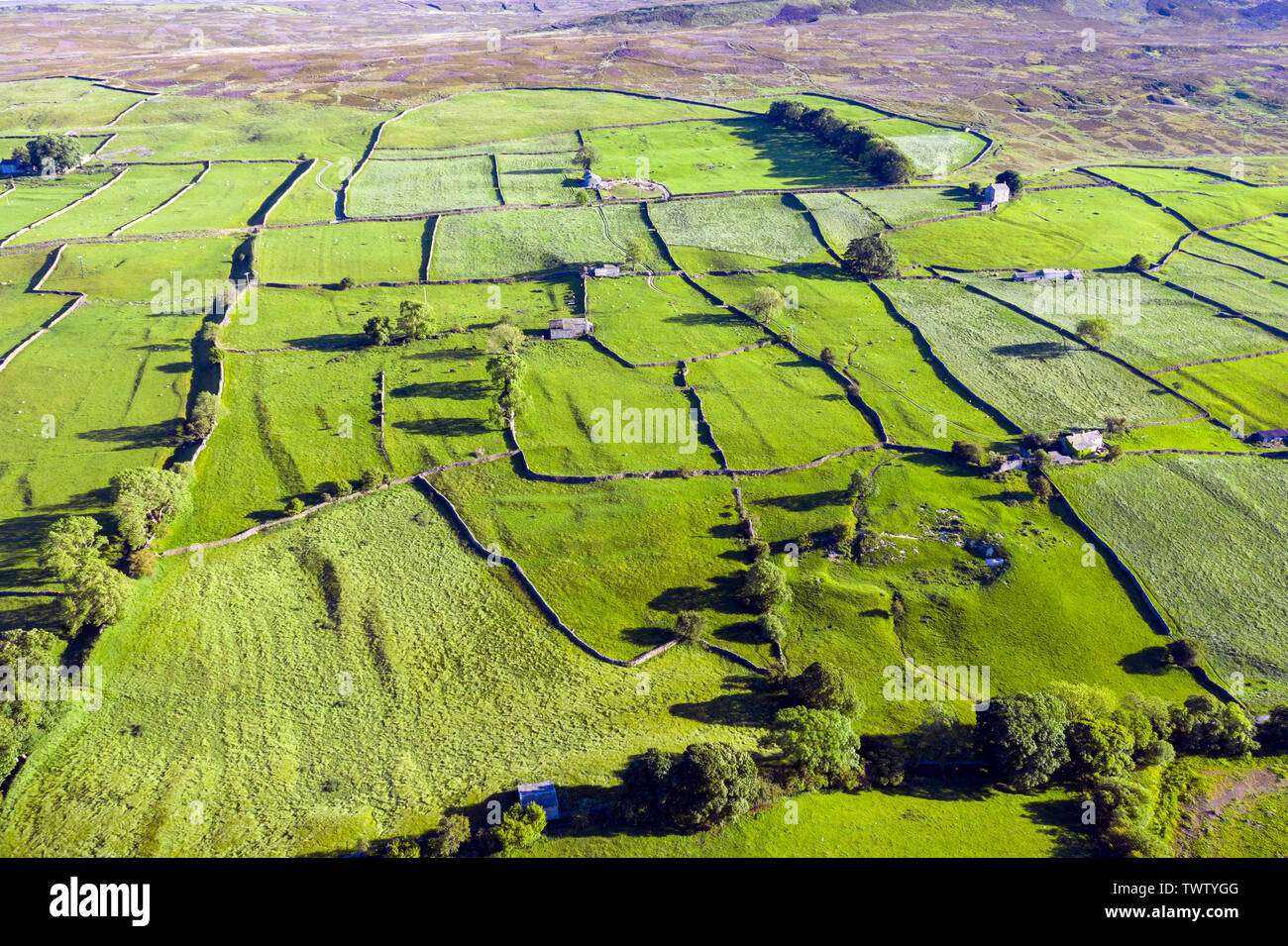 Swaledale dall'aria, North Yorkshire Dales, Parco Nazionale, England, Regno Unito Foto Stock