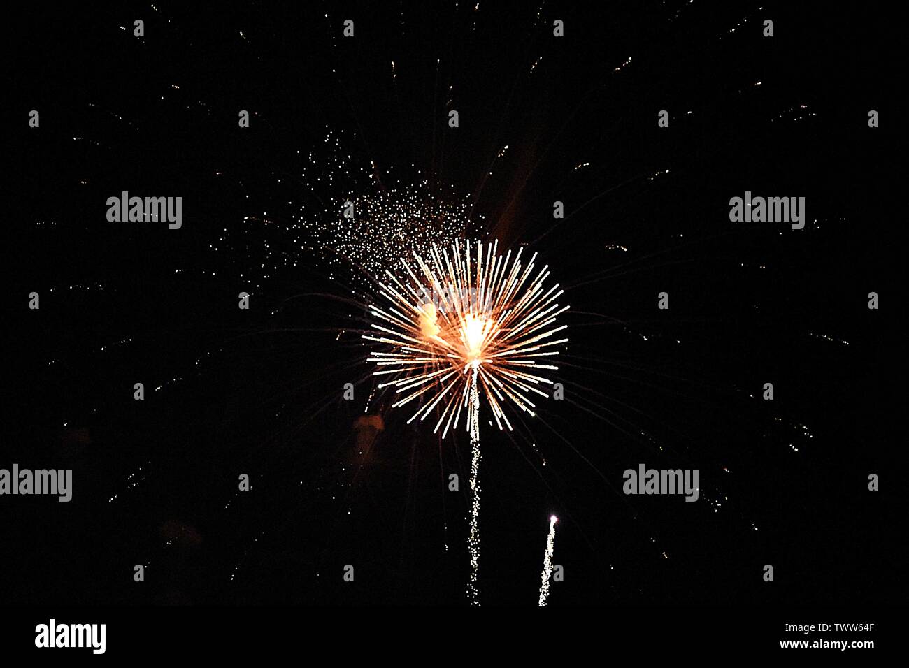 Fuochi d' artificio celebrazioni nel cielo notturno Foto Stock